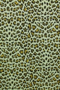 Leopard on Vintage Mint