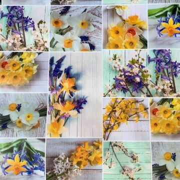 Tafelzeil - Spring Blooming Flowers 